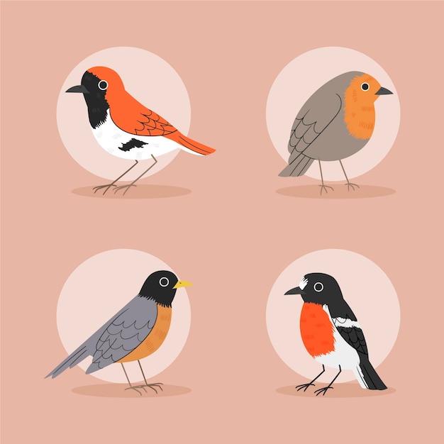 Free vector hand drawn robin collection