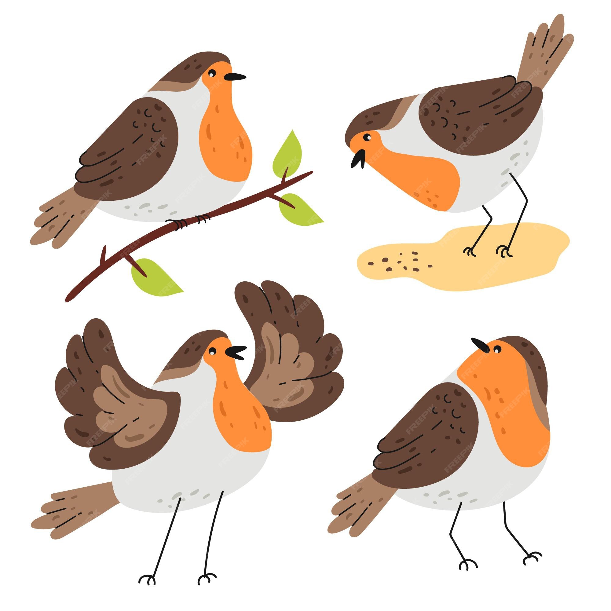 robin flying clipart