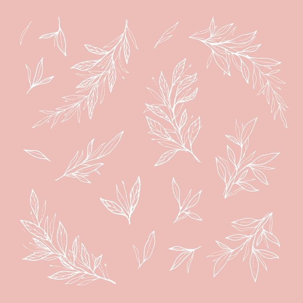 Free vector hand drawn romantic branches and leaves outlines