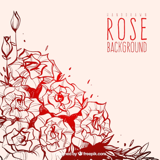 Free vector hand-drawn rose background