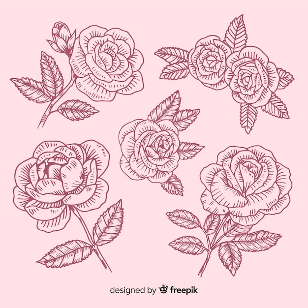 Free Vector hand drawn rose sketches collection