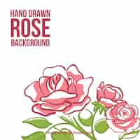 Free vector hand drawn roses background