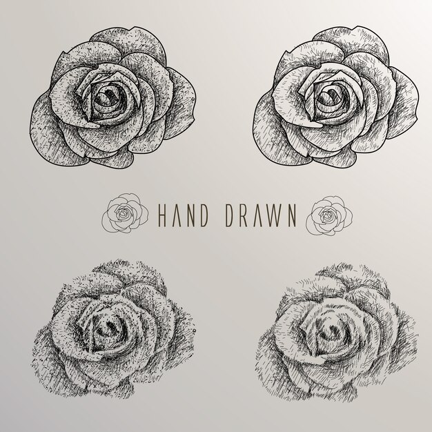 Free Vector hand drawn roses collection