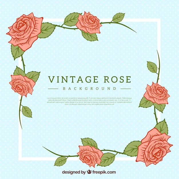 Vettore gratuito rose disegnate a mano frame background vintage
