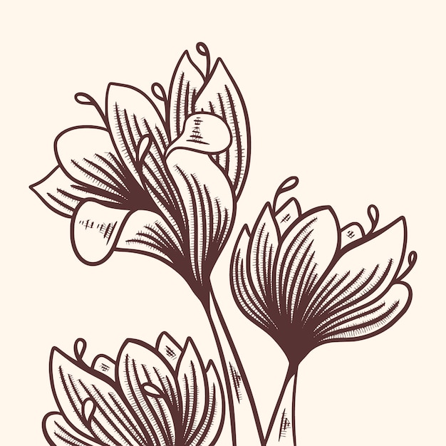 手描きのサフランの花のイラスト