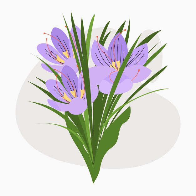 Hand drawn saffron illustration