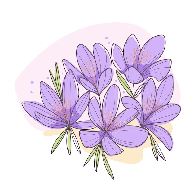 Free vector hand drawn saffron illustration