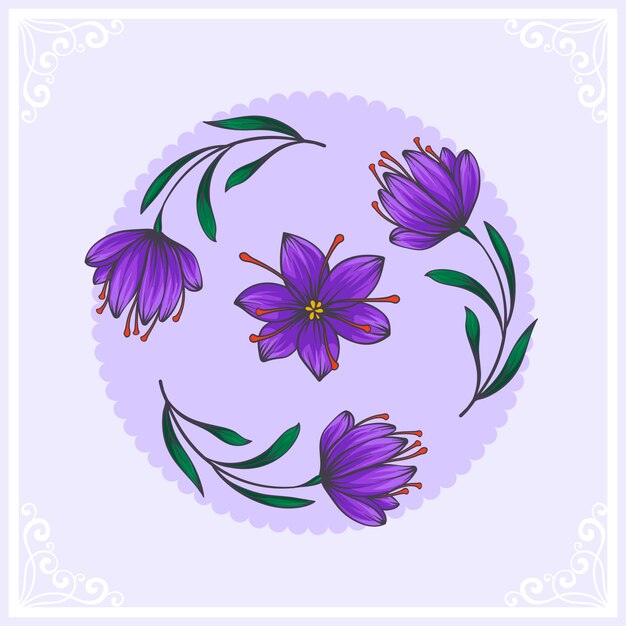 hand drawn saffron illustration
