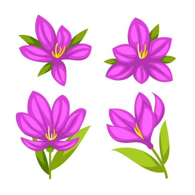 Hand drawn saffron plant illustration