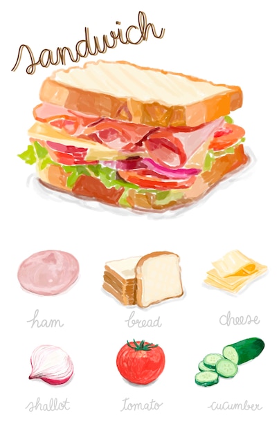 Free vector hand drawn sandwich watercolor style