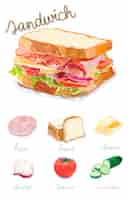 Vettore gratuito stile acquerello panino disegnato a mano