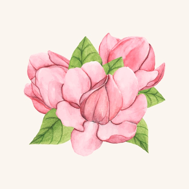 Vettore gratuito fiore di magnolia piattino disegnato a mano isolato