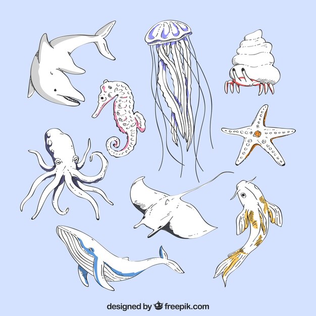 Hand drawn sea animals collection