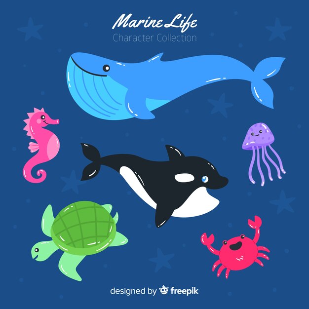 Hand drawn sea animals collection