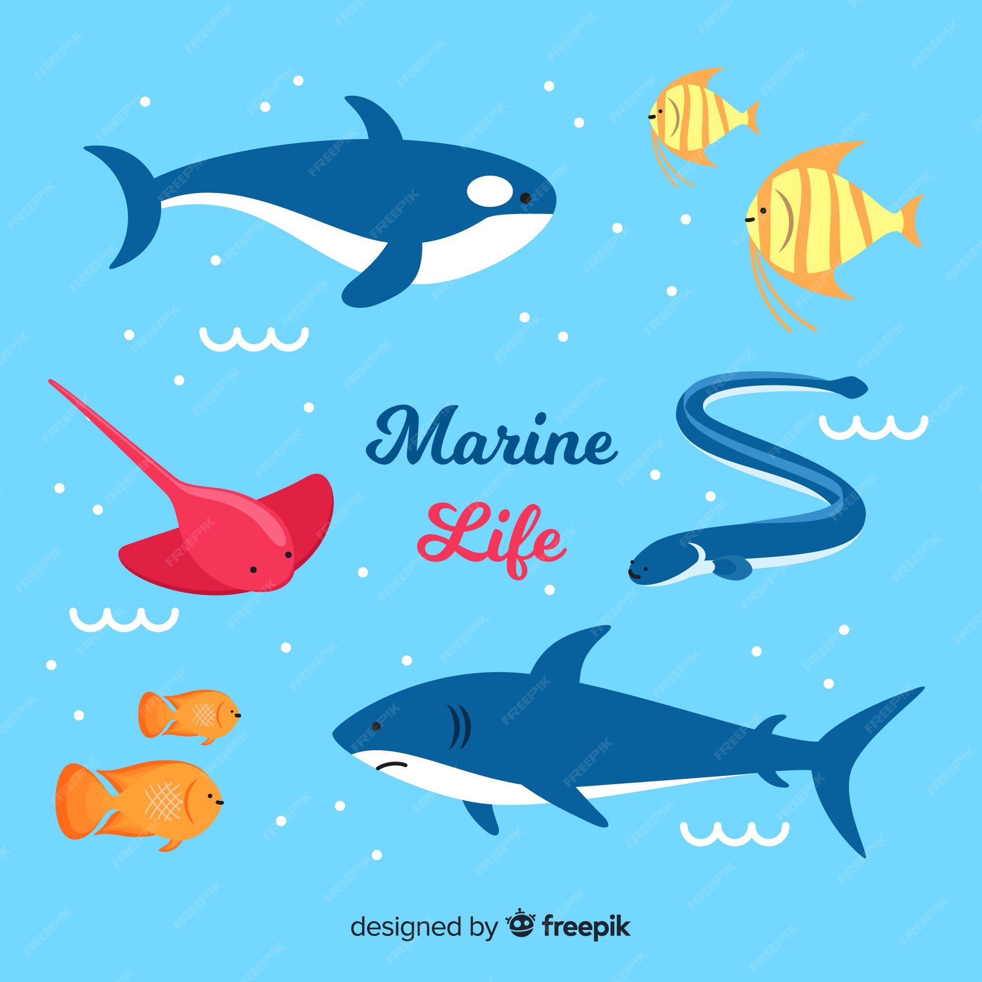 Free Vector | Hand drawn sea animals collection Free Vector | Hand drawn sea animals collection