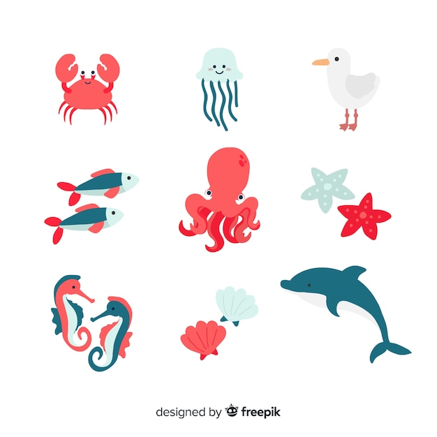 Hand drawn sea animals collection