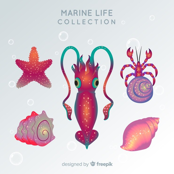 Free Vector hand drawn sea animals collection
