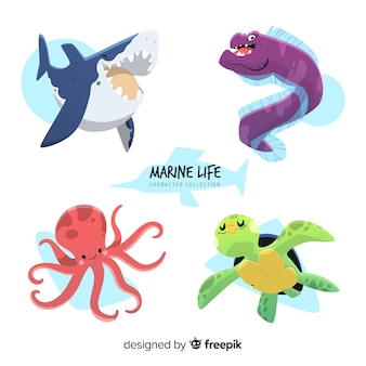 たこ 画像 無料のベクター ストックフォト Psd たこ 画像 無料のベクター ストックフォト Psd
