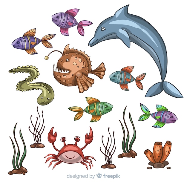 Free vector hand drawn sea animals collection