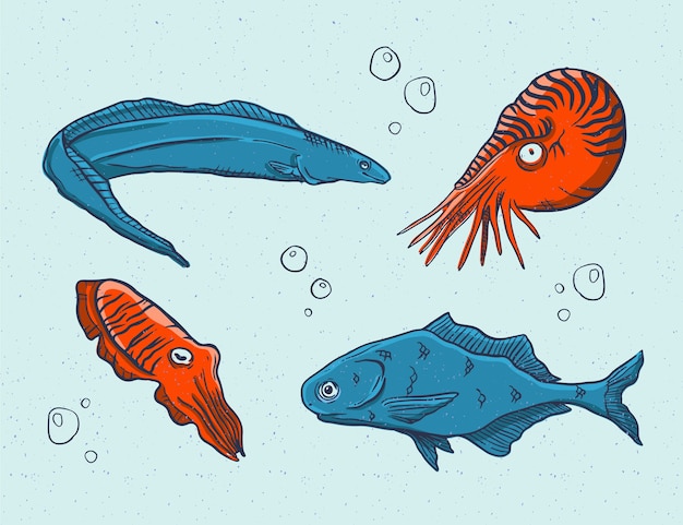 Hand drawn sea animals collection