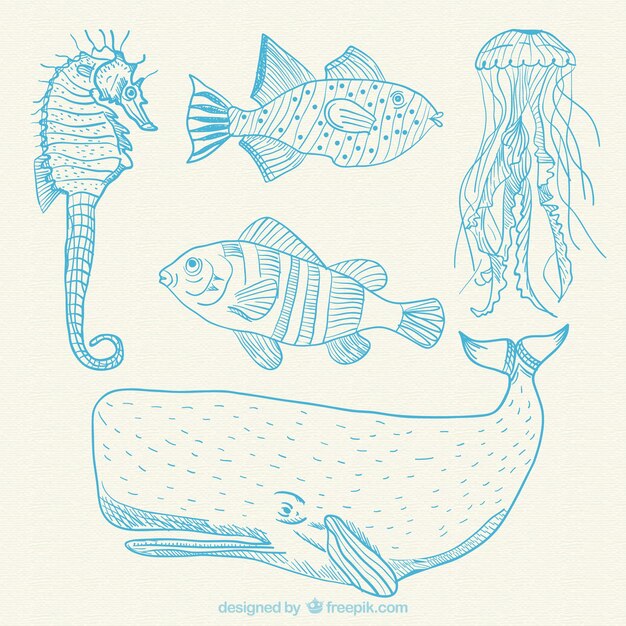 Hand drawn sea animals