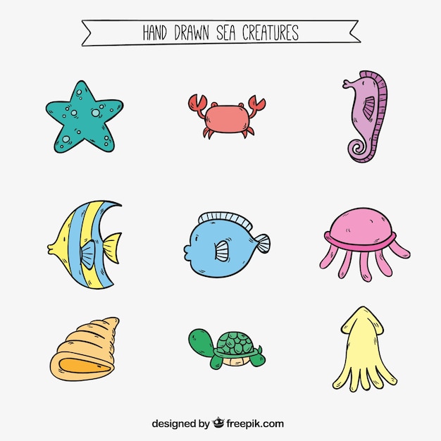 Free vector hand drawn sea creature collection in colors