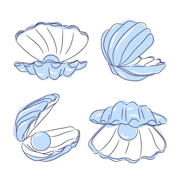 Free vector hand drawn seashell illustration