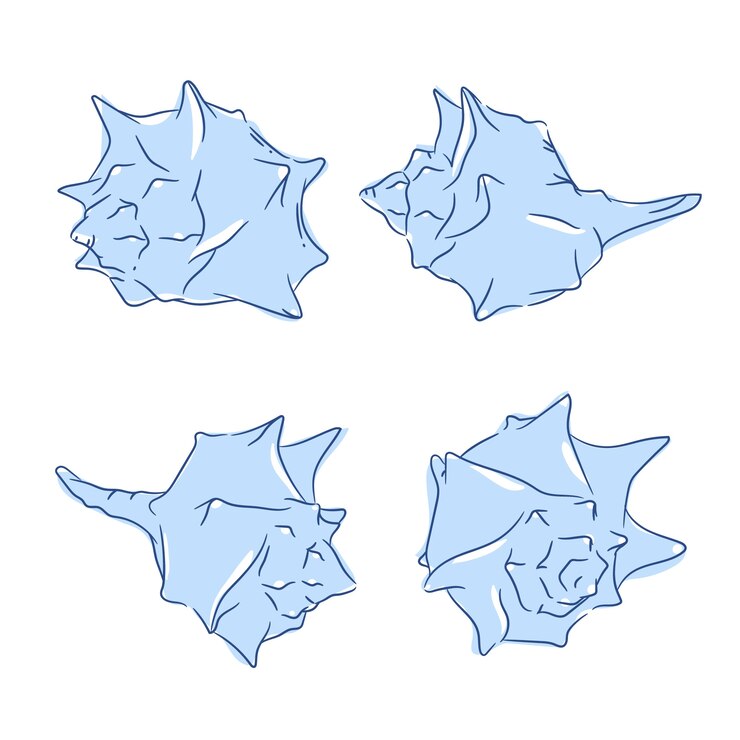 Free Vector hand drawn seashell illustration