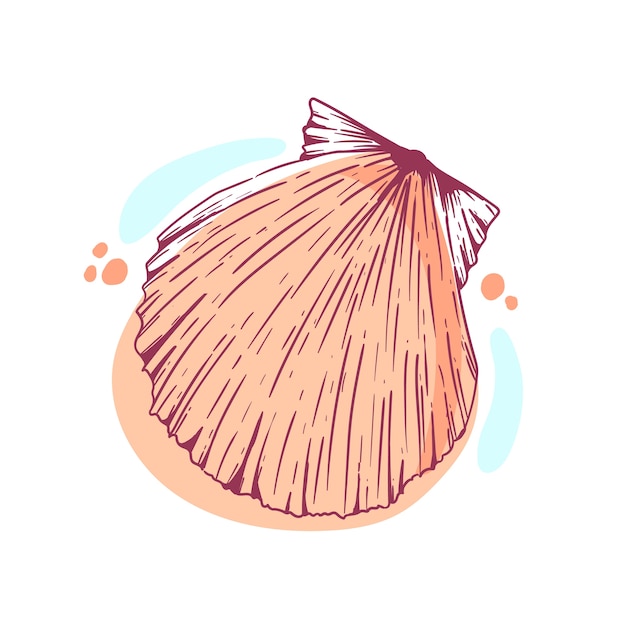 Free vector hand drawn seashell outline illustration