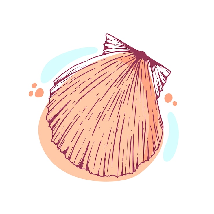 Free Vector hand drawn seashell outline illustration