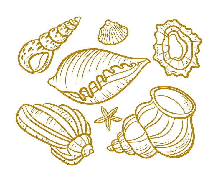 Free Vector hand drawn seashell outline illustration