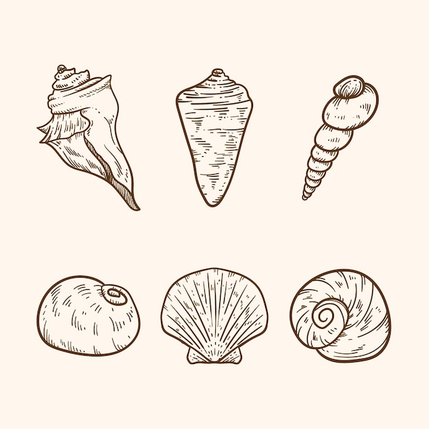 Free vector hand drawn seashell outline illustration