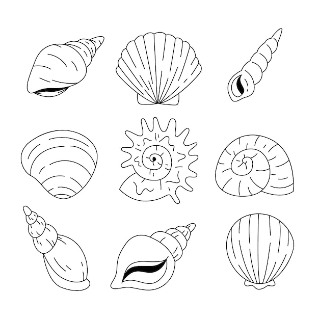 Free vector hand drawn seashell outline illustration