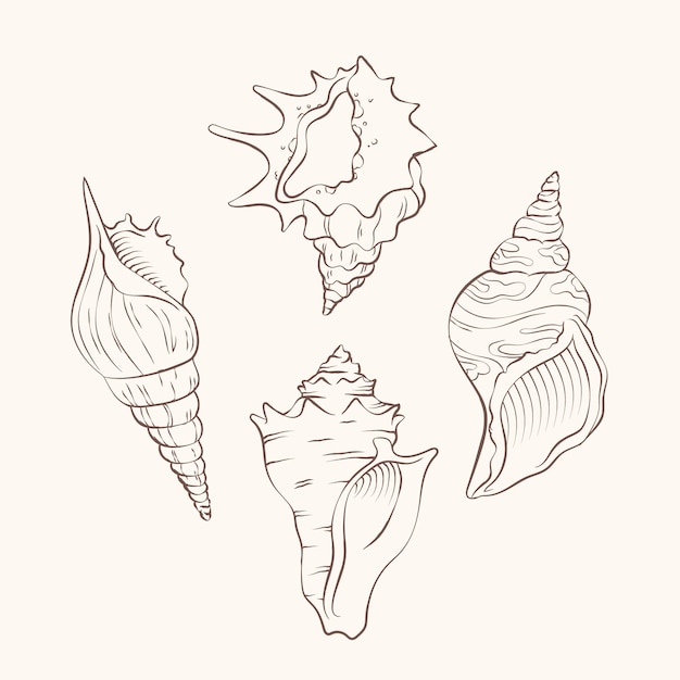 Free vector hand drawn seashell outline illustration