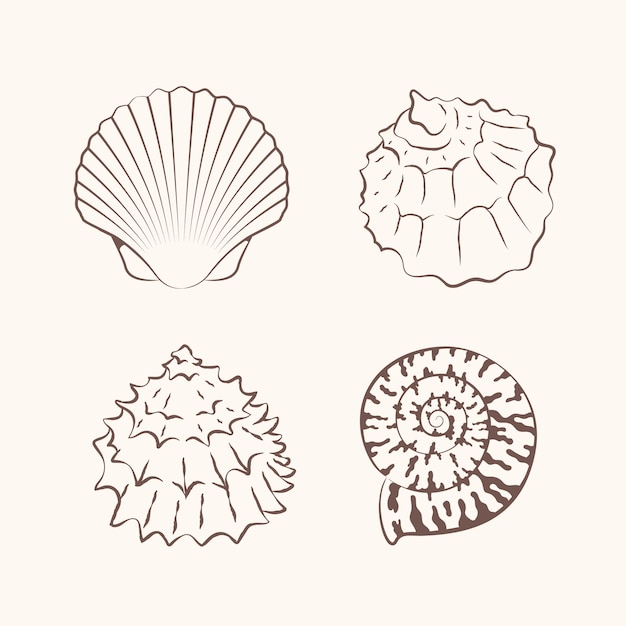 Free vector hand drawn seashell outline illustration