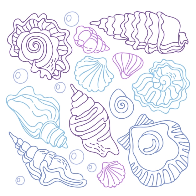 Free vector hand drawn seashell outline illustration