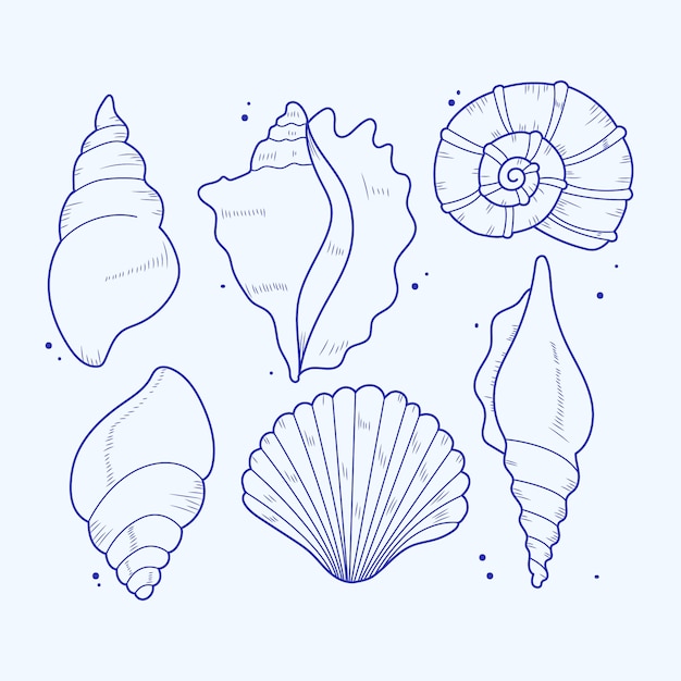 Free vector hand drawn seashell outline illustration