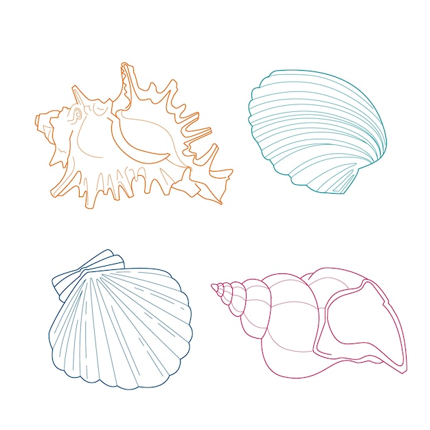 Hand drawn seashell outline illustration