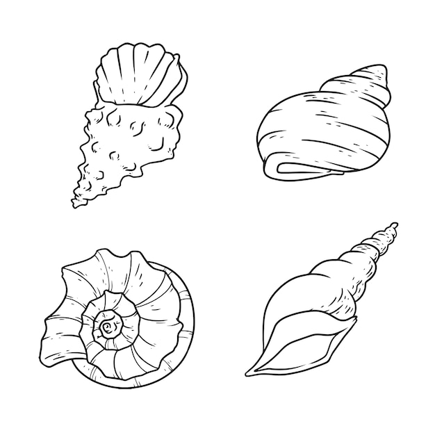 Free vector hand drawn seashell outline illustration