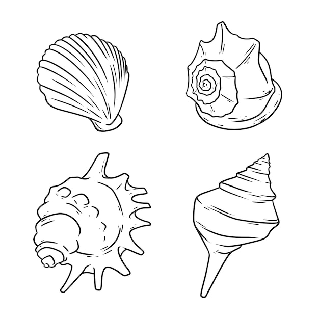 Free vector hand drawn seashell outline illustration