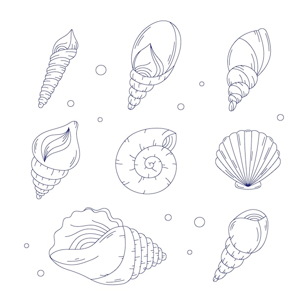 Hand drawn seashell outline illustration