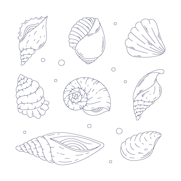 Free vector hand drawn seashell outline illustration