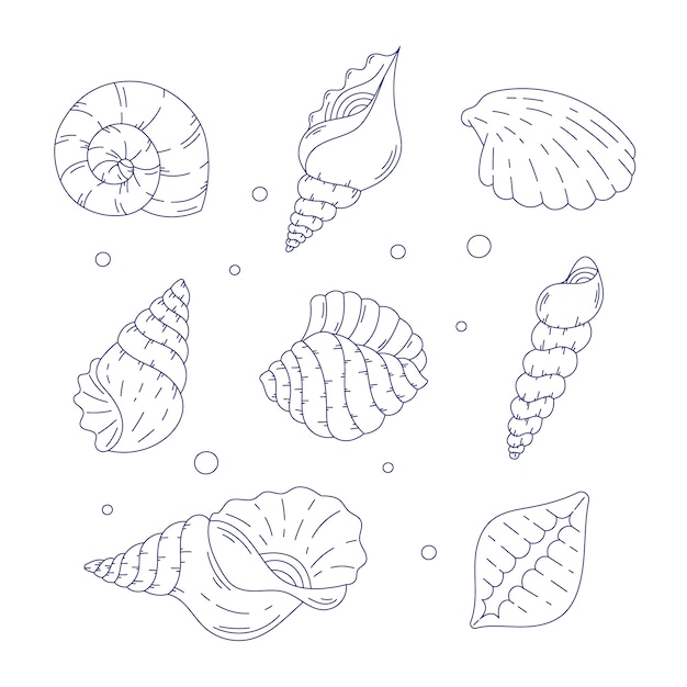 Free vector hand drawn seashell outline illustration