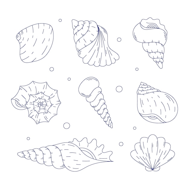 Free vector hand drawn seashell outline illustration