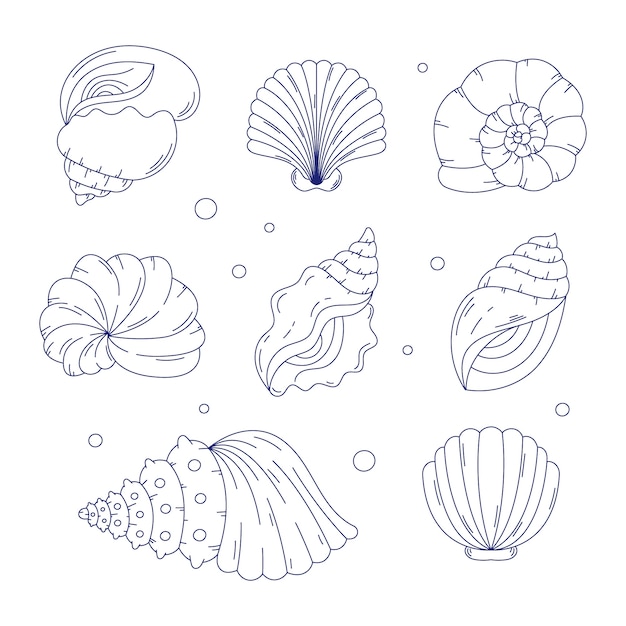 Free vector hand drawn seashell outline illustration