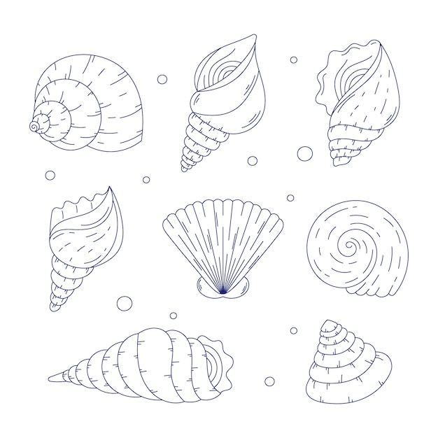 Hand drawn seashell outline illustration