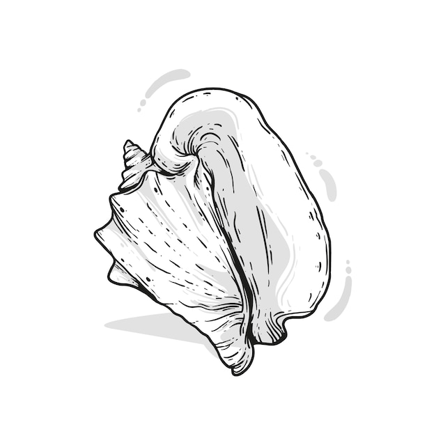 Hand drawn seashell outline illustration