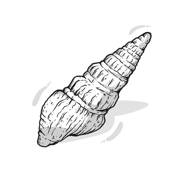 Free vector hand drawn seashell outline illustration