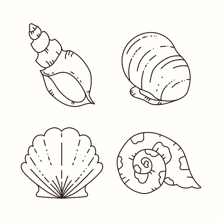 Free Vector hand drawn seashell outline illustration