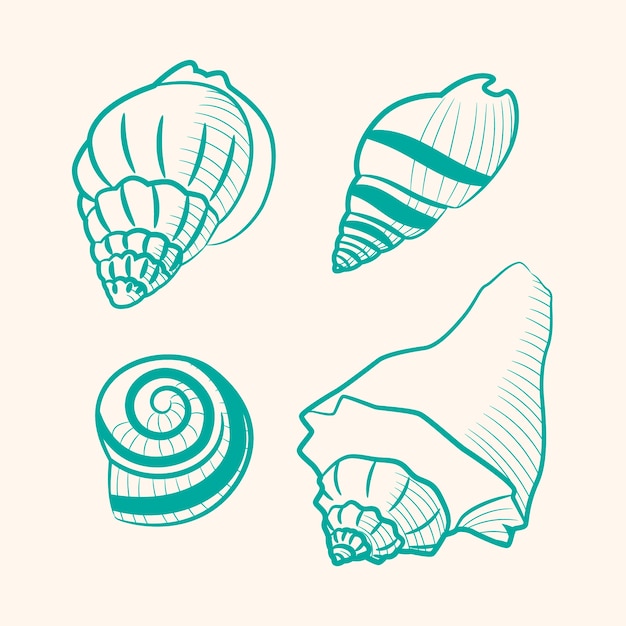 Free vector hand drawn seashell outline illustration